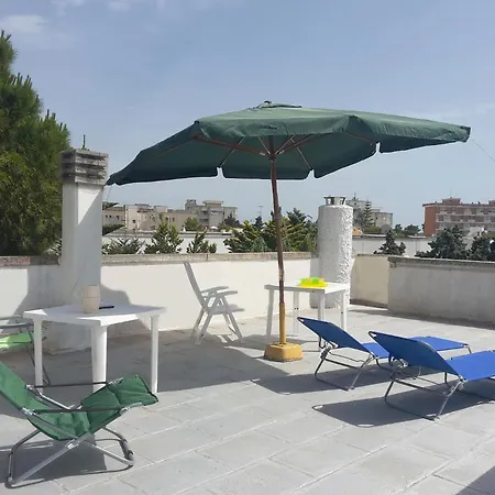 Mimose In Baia * Gallipoli