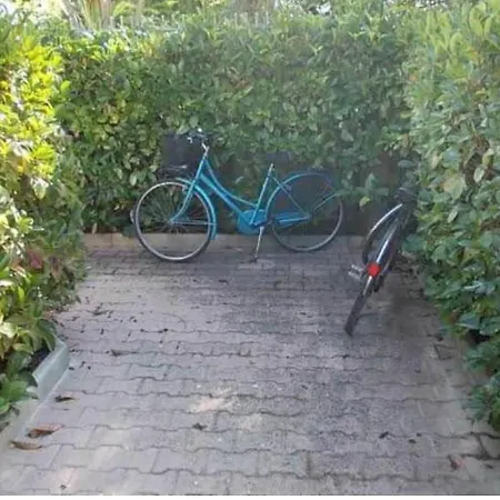 Apartman Mimose In Baia *