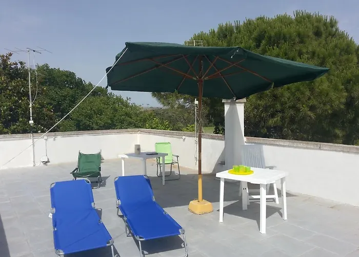 Mimose In Baia * Gallipoli