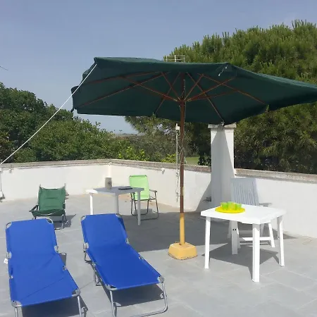 Mimose In Baia * Галлиполи