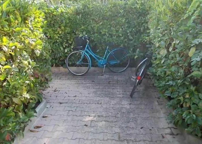 Apartment Mimose In Baia *